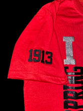 Load image into Gallery viewer, Delta Sigma Theta SPRING &#39;24 Glitter Tee
