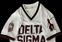 Load image into Gallery viewer, V-Neck Varsity Jersey Tee – White with Crimson Embroidery
