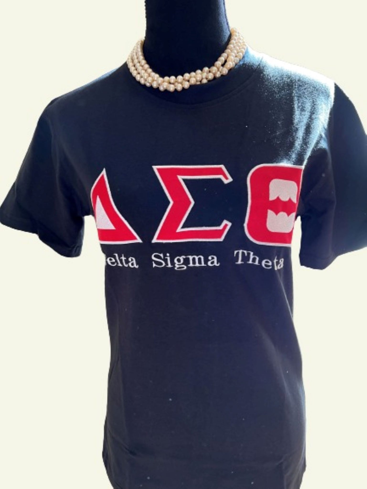 Delta Sigma Theta Jersey – D'Vine Greek Apparel